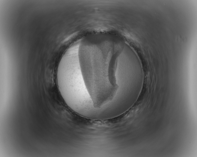 X0000086751205200704271703