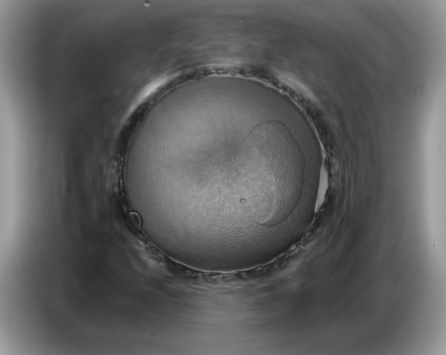 X0000086751208200704271703