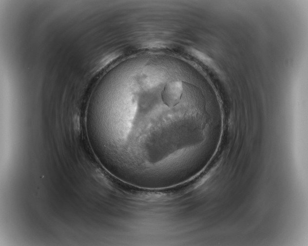 X0000086751209200704271703