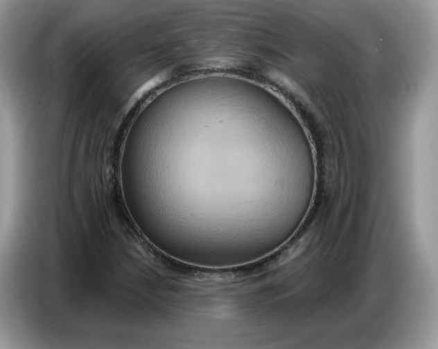 X0000086751210200704271703