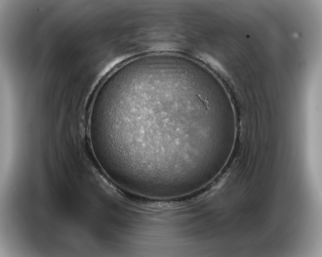 X0000086751212200704271703