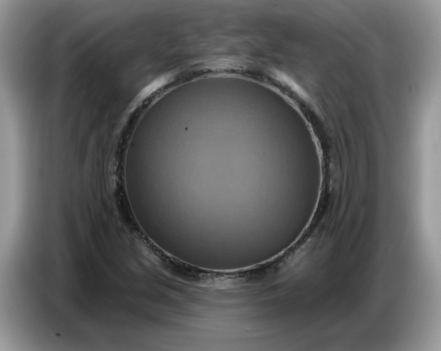 X0000086751213200704271703