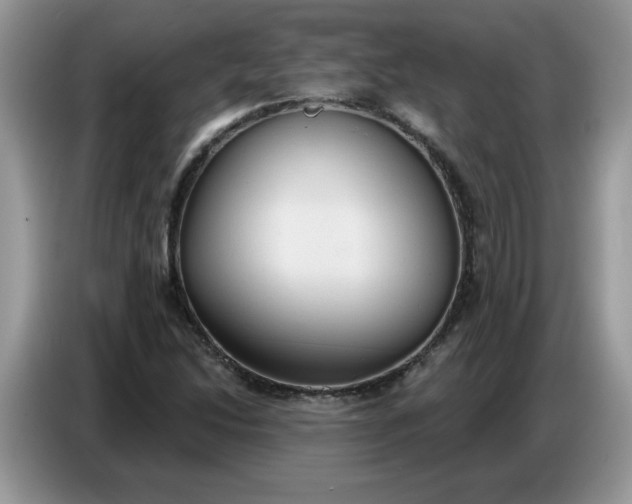 X0000086751214200704271703