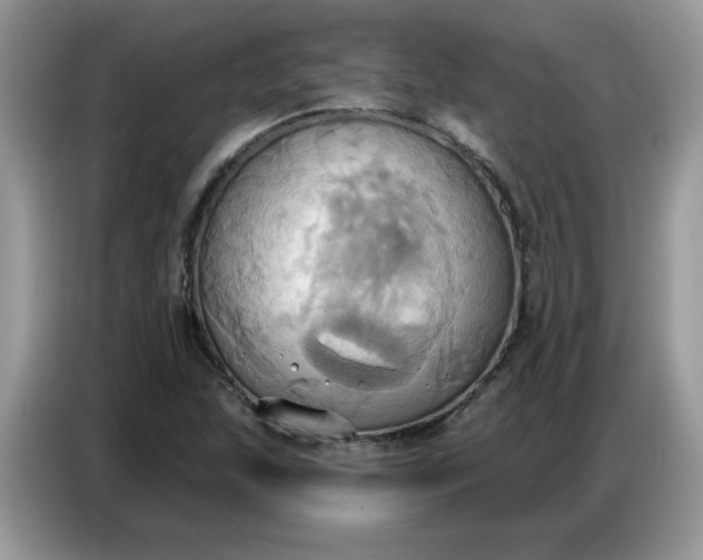 X0000086751215200704271703