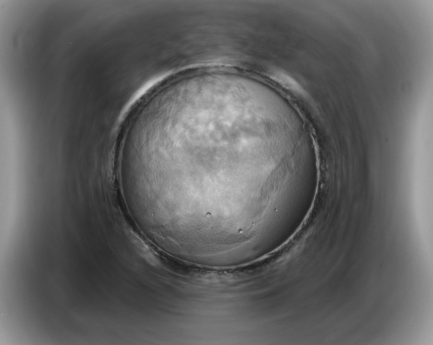 X0000086751216200704271703