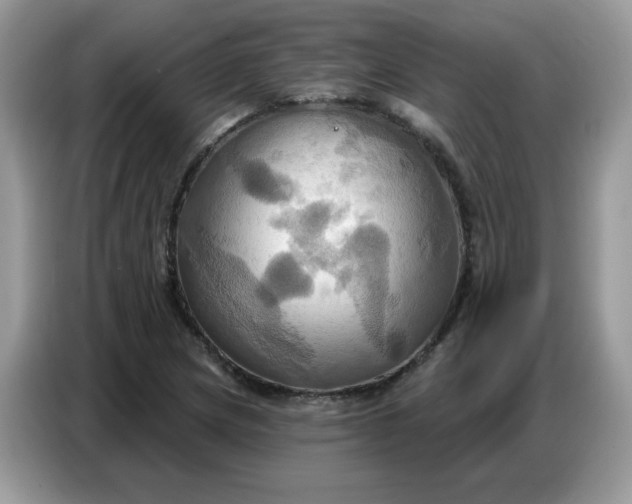 X0000086751217200704271703