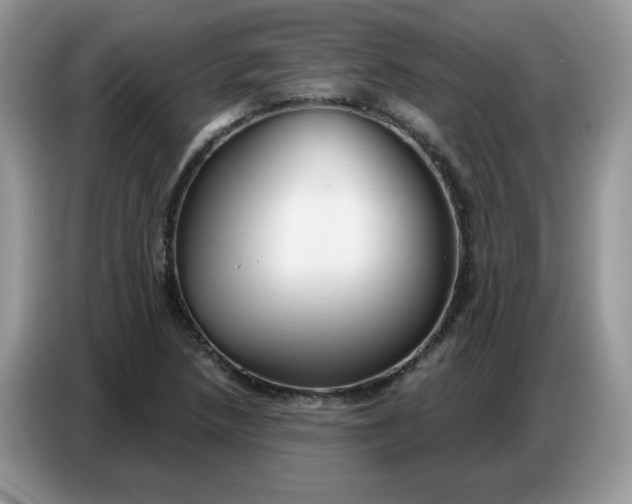 X0000086751218200704271703