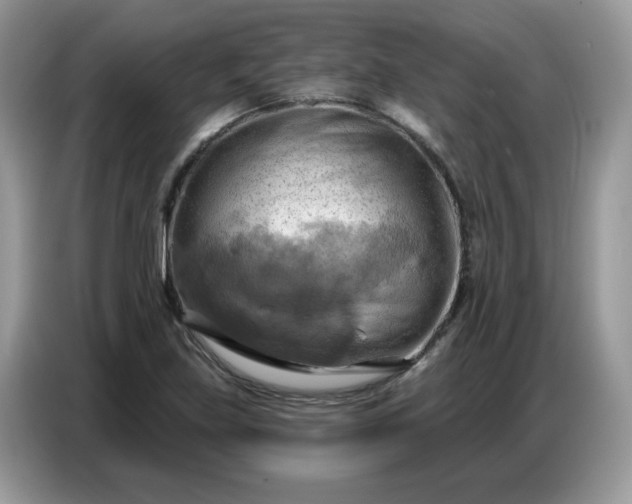 X0000086751219200704271704