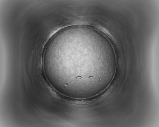 X0000086751220200704271704