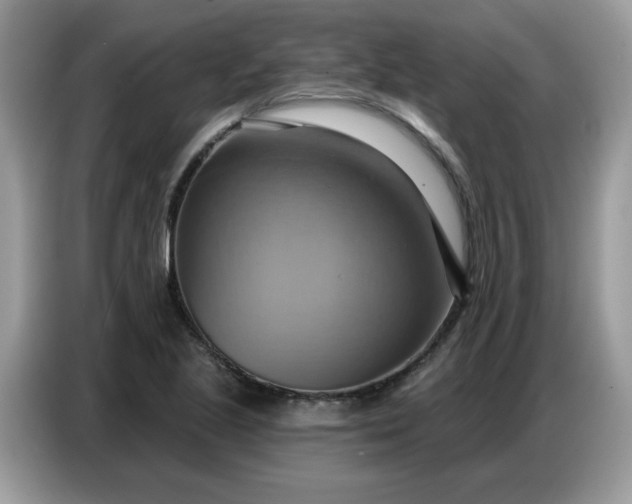 X0000086751221200704271704