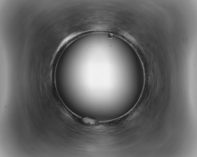 X0000086751222200704271704