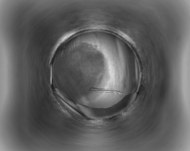 X0000086751223200704271704