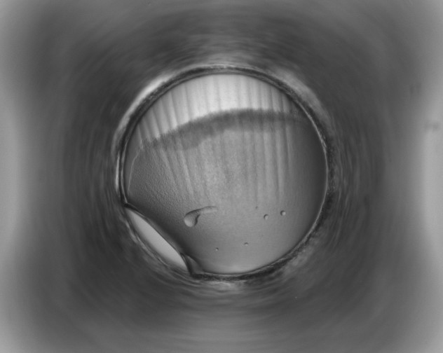 X0000086751224200704271704