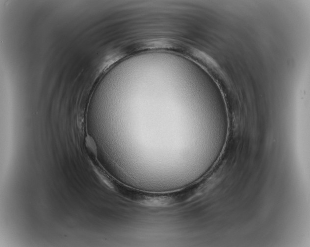 X0000086751225200704271704