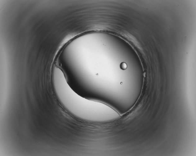 X0000086751226200704271704