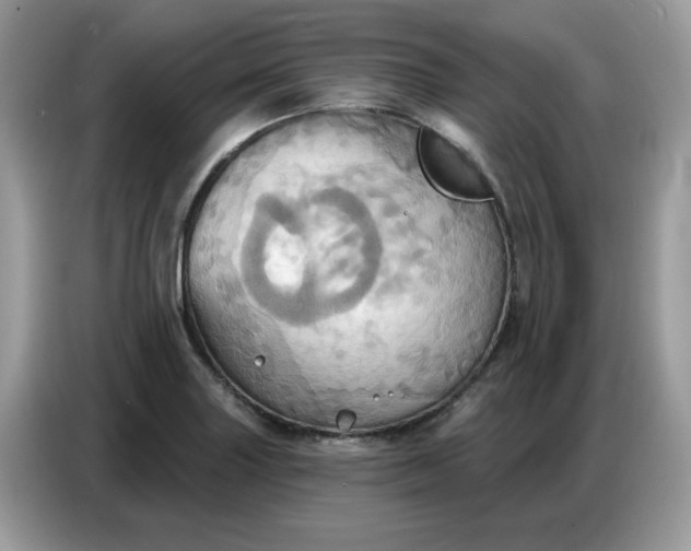 X0000086751227200704271704