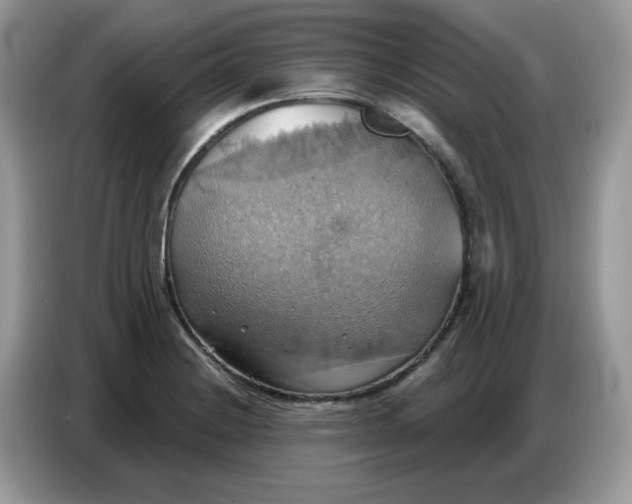 X0000086751228200704271704