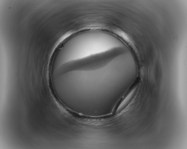 X0000086751229200704271704