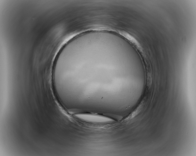 X0000086751231200704271704