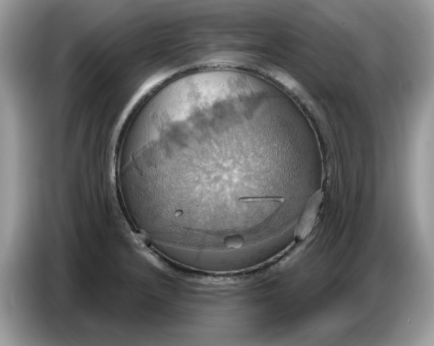 X0000086751232200704271704