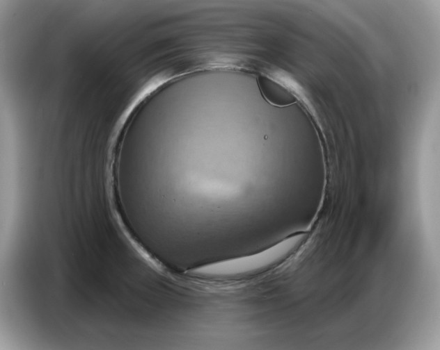 X0000086751235200704271704