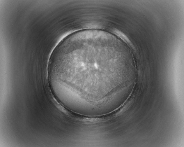 X0000086751236200704271704