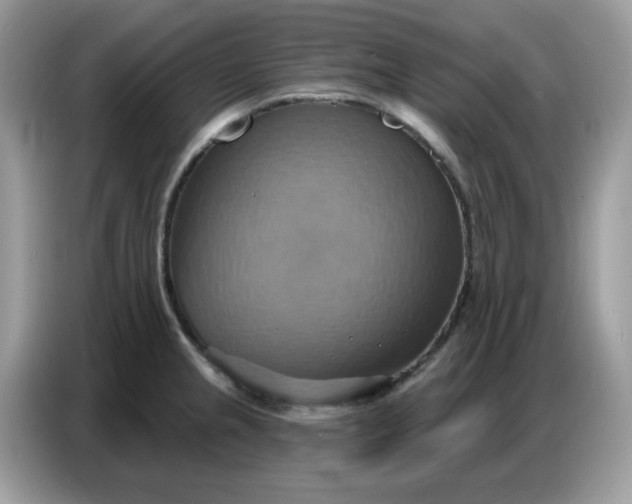 X0000086751237200704271704