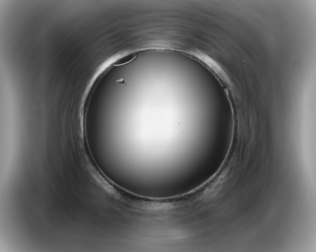 X0000086751238200704271704