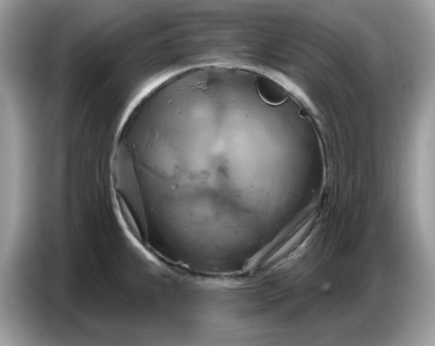 X0000086751239200704271704