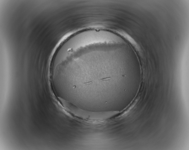 X0000086751240200704271704