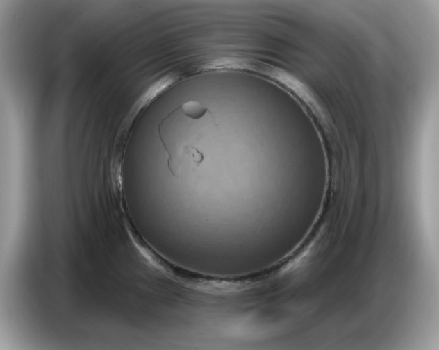 X0000086751241200704271704