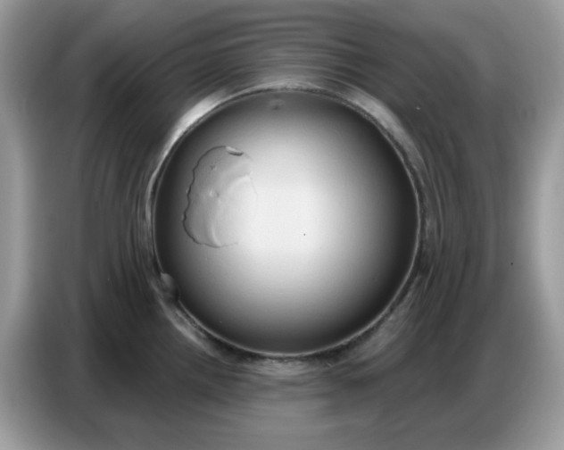 X0000086751242200704271704