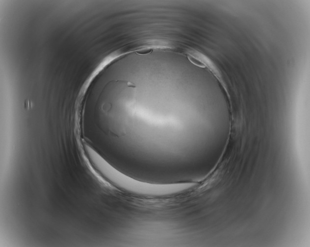 X0000086751243200704271704