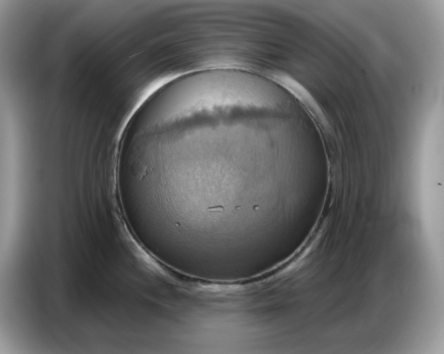 X0000086751244200704271704