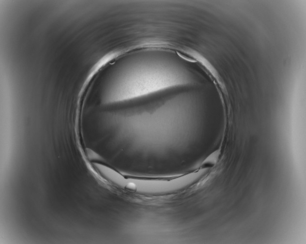 X0000086751245200704271704