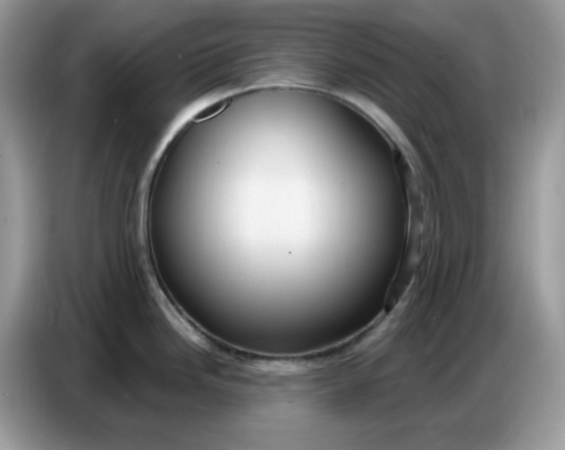 X0000086751246200704271704