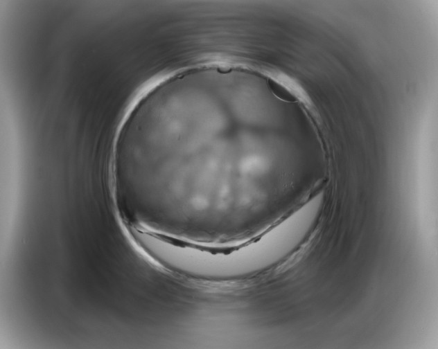 X0000086751247200704271704