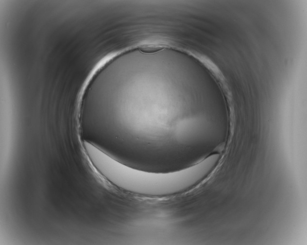 X0000086751248200704271704