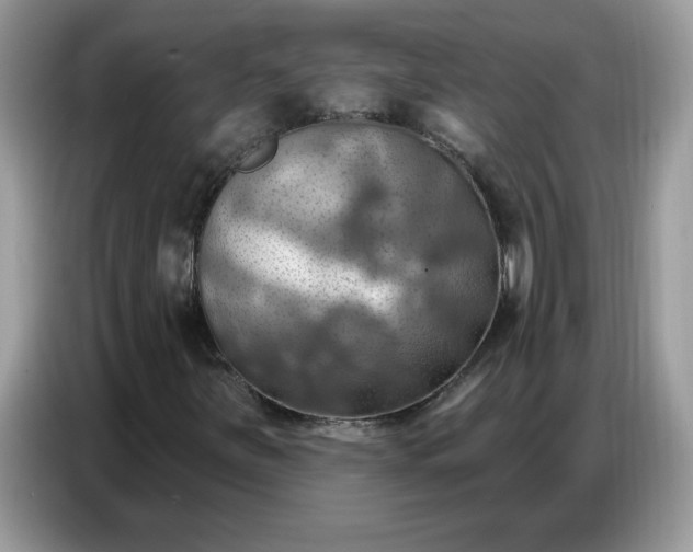 X0000086751251200704271703