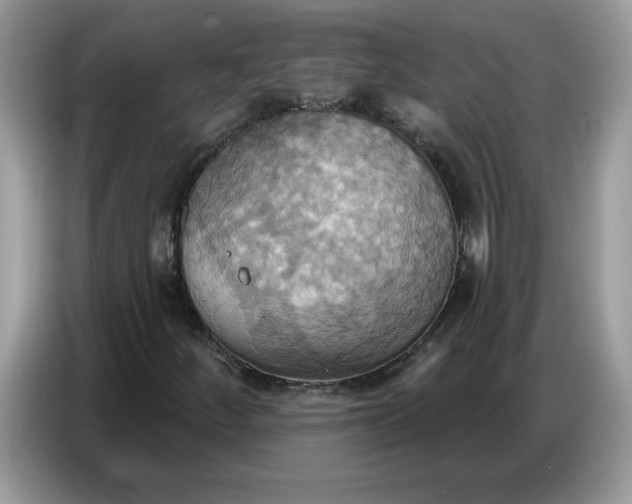 X0000086751252200704271703