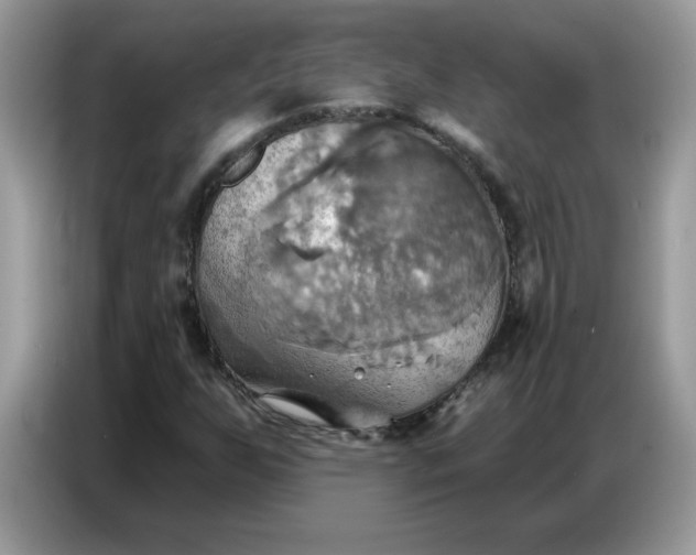 X0000086751255200704271703