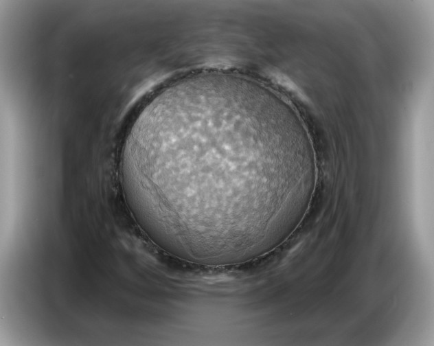 X0000086751256200704271703