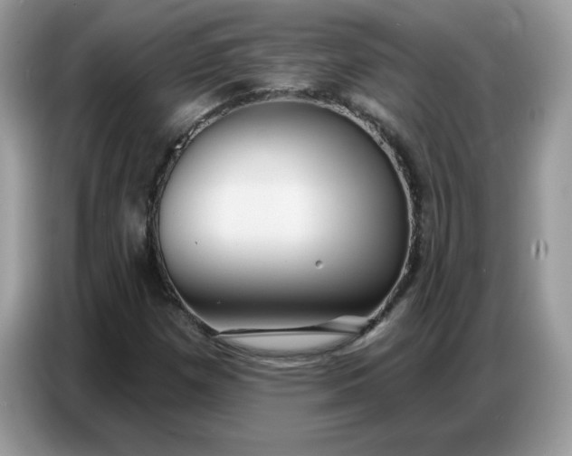 X0000086751257200704271703