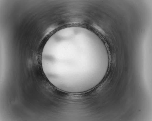 X0000086751258200704271703