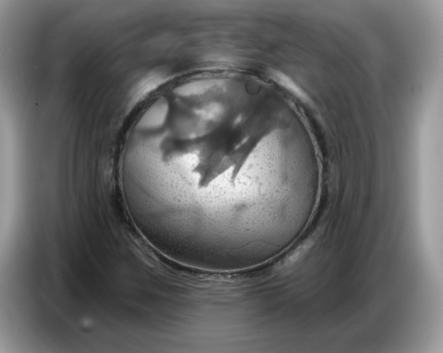 X0000086751259200704271703