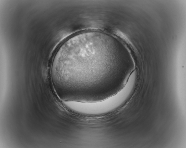 X0000086751260200704271703