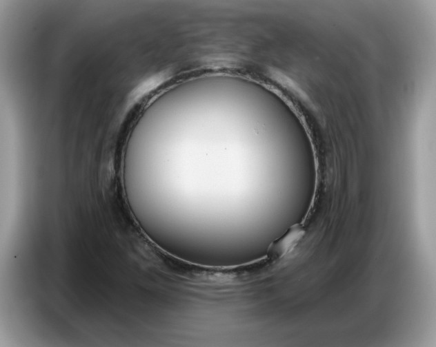 X0000086751261200704271703