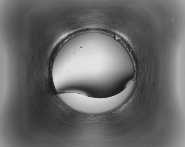 X0000086751263200704271703