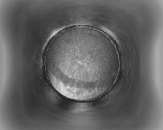 X0000086751264200704271703