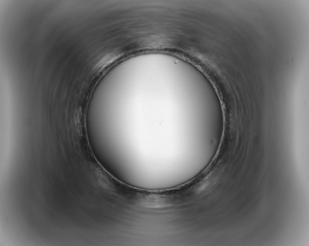 X0000086751265200704271703